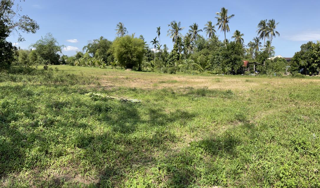 1 ไร่ 2 งาน 11 ตารางวา หน้าติดถนนสายหลัก หลังติดคลอง (บ้านหาร) 4