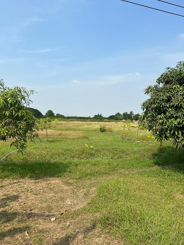 ขายที่ดินเปล่าถมแล้ว ติดถนนพระราม 2 ใกล้ทางด่วนกาญจนาภิเษก-วงแหวนอุตสาหกรรม 8