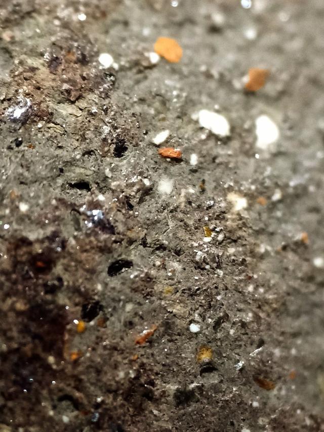 หลวงปู่ทวดเนื้อว่าน 2497 6