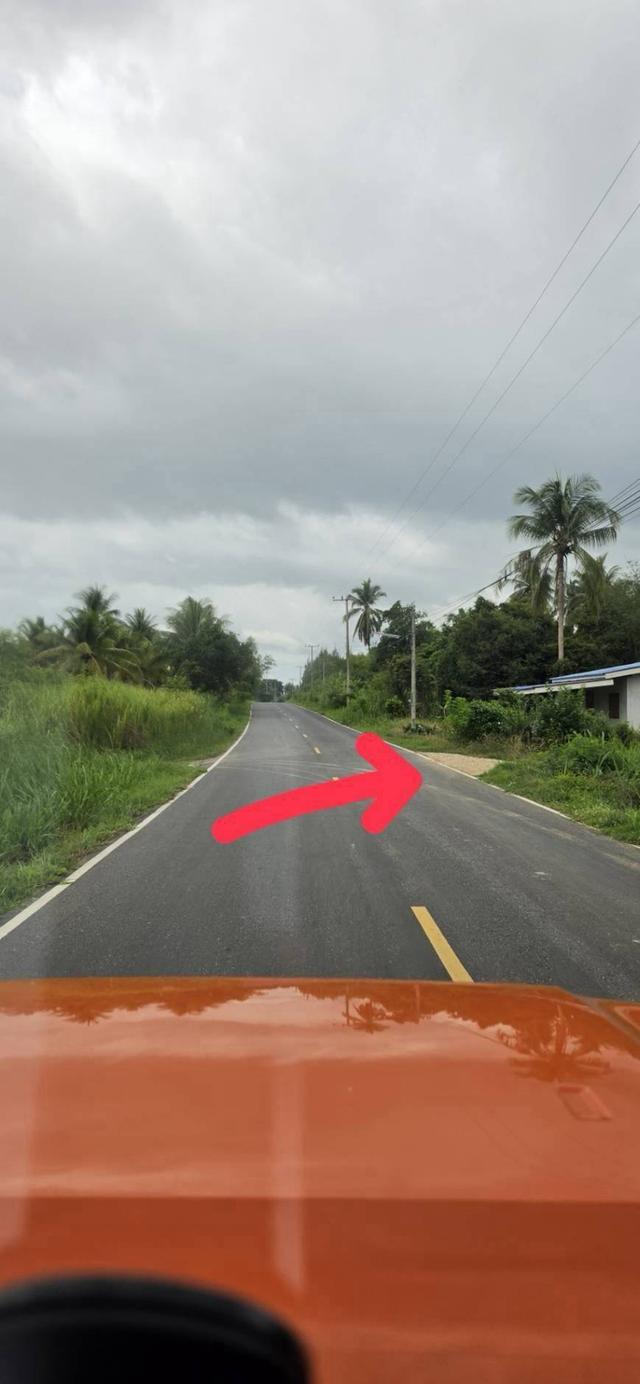 ขายที่ดินวิวภูเขา เขากระปุก เพชรบุรี บรรยากาศธรรมชาติ ราคาเริ่มเพียง 179,000 บาท 4