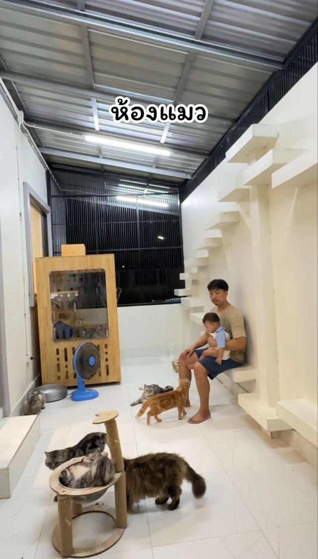 บ้านพร้อมที่ดิน 2ไร่1งาน (เจ้าของขายเอง) 6