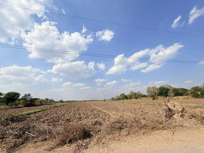 📍ขายที่นา 4ไร่ 3งาน 3.1ตารางวา หน้ากว้าง 40 เมตร น้ำไม่เคยท่วม มีไฟฟ้า น้ำปะปา ติดถนน 4