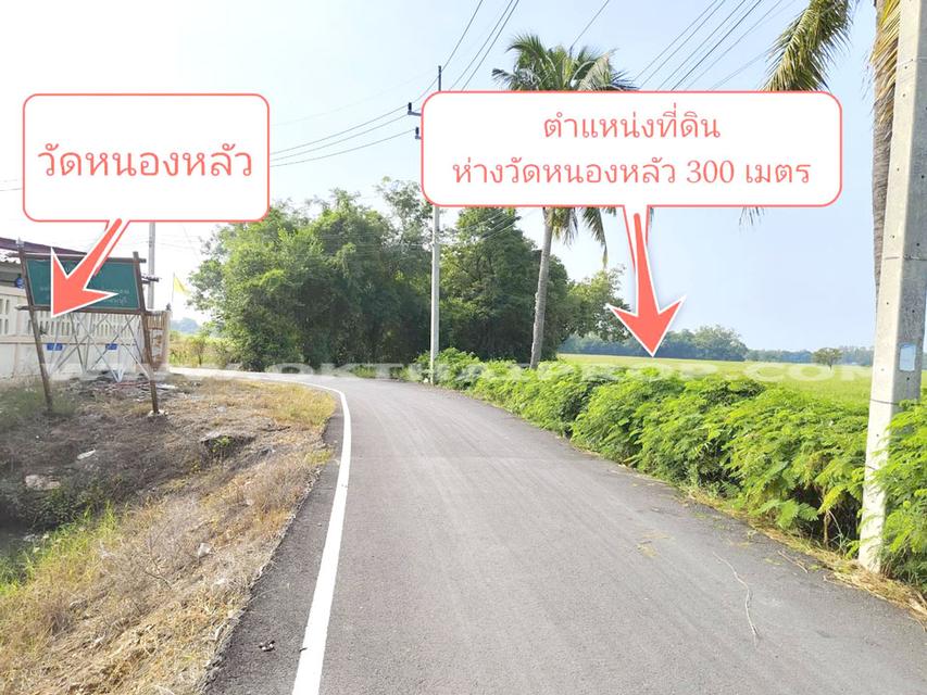 ที่ดิน ถ.สระบุรี – อยุธยา อ.หนองแซง จ.สระบุรี 2