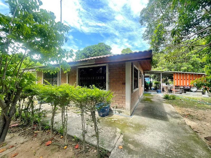 ขายที่ดินพัทยา หนองใหญ่ ใกล้ถนนสุขุมวิท อ.บางละมุง จ.ชลบุรี 3