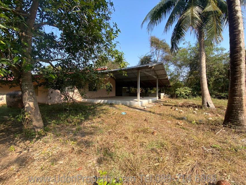 🔥 ขายด่วน! บ้านพร้อมที่ดิน พื้นที่ขนาดใหญ่ ใกล้เมือง จ.อุดรธานี (รหัส H1SS-491) 11