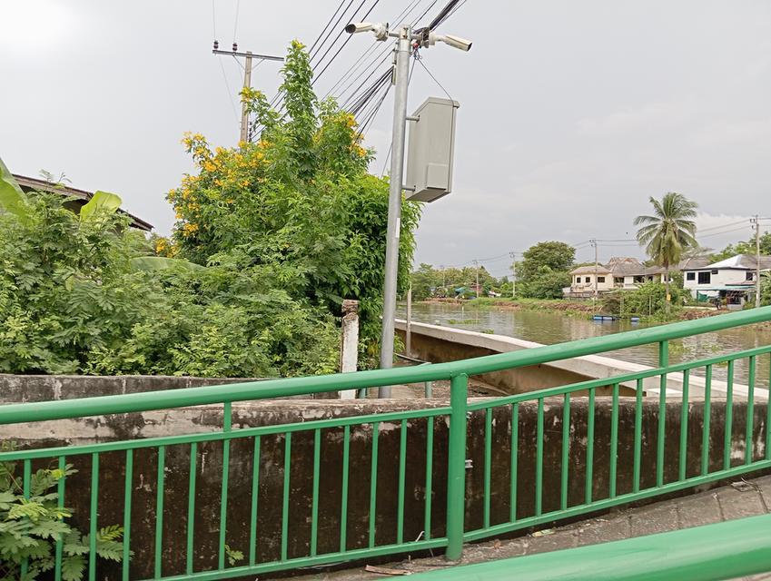 ให้เช่าบ้าน+ที่ดินอยู่ข้างวัดปุรณาวาสติดคลองมหาสวัสดิ์ 8