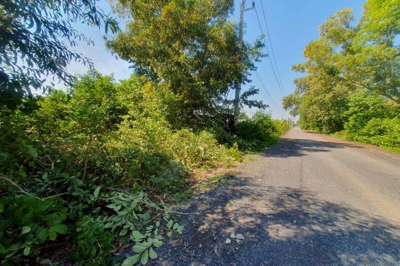 ที่ดินเปล่า เนื้อที่ 819 ตร.ว. ซอยเอราวัณ 19/1, ติดบริษัทฟาร์มสีสด ถนนคลองหลวง ตำบลคลองสอง อำเภอคลองหลวง ปทุมธานี 4