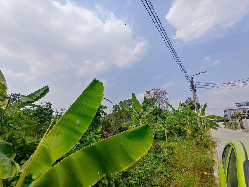 ขายด่วนที่ดินใกล้โรบินสัน ศรีสมาน 200 ตรว ติดถนน3ด้าน ซ.ศรีสมาน 5 บ้านใหม่ ปากเกร็ด 10