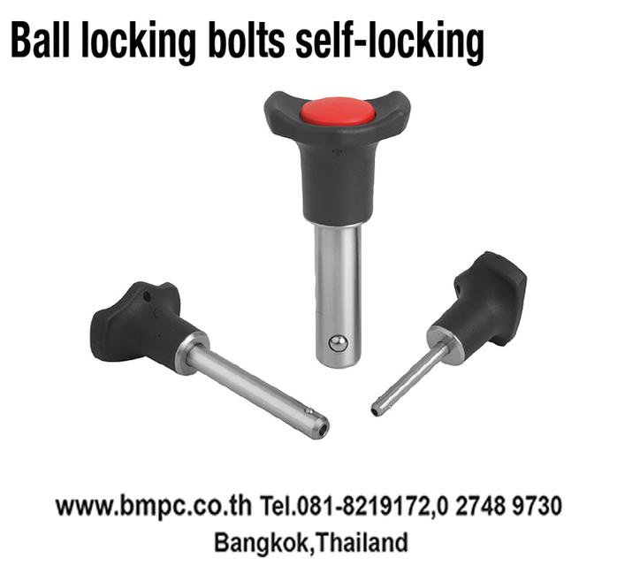 Knob, Clamp lever, Ball plunger, หนอนปลายลูกปืน, locking bolt, Hand wheel, Hoist ring, star grip, index plunger, spring plunger, Revolving handle