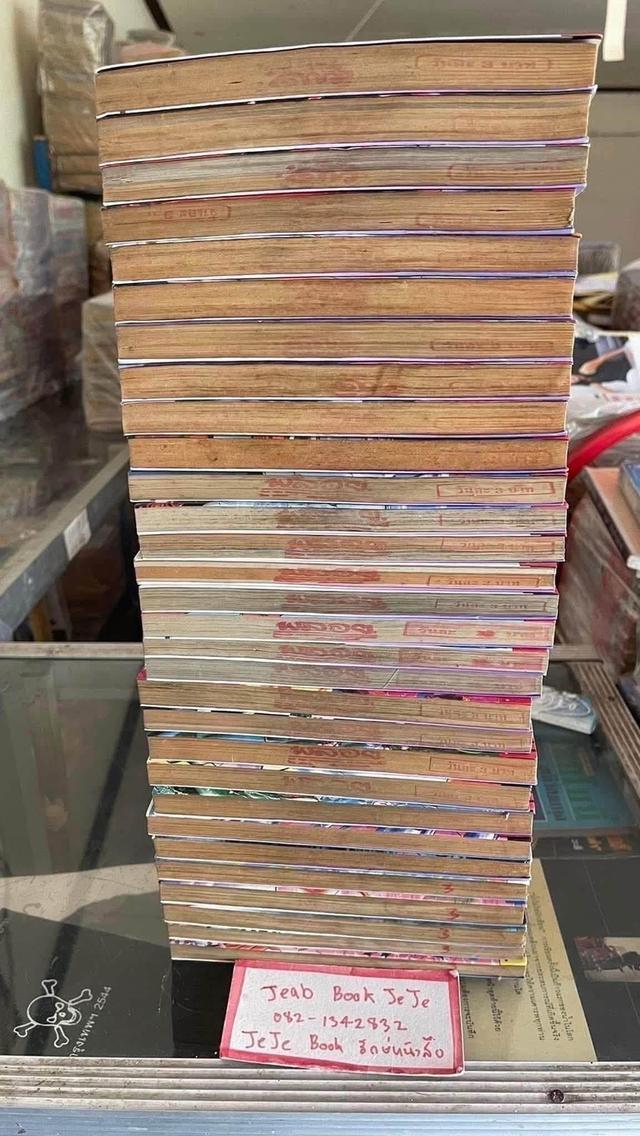หนังสือการ์ตูน น้องหนูพันธุ์ดุ 1-30 จบ รูปที่ 9