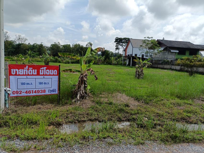 ที่ดินเปล่า (มีโฉนด) 2