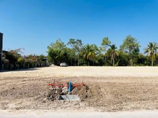 ขายที่ดิน 340 ตรว. ยกแปลง 2500000 ใกล้ทะเลหาดแม่พิมพ์ 8 นาที อยู่ระยอง แกลง 4