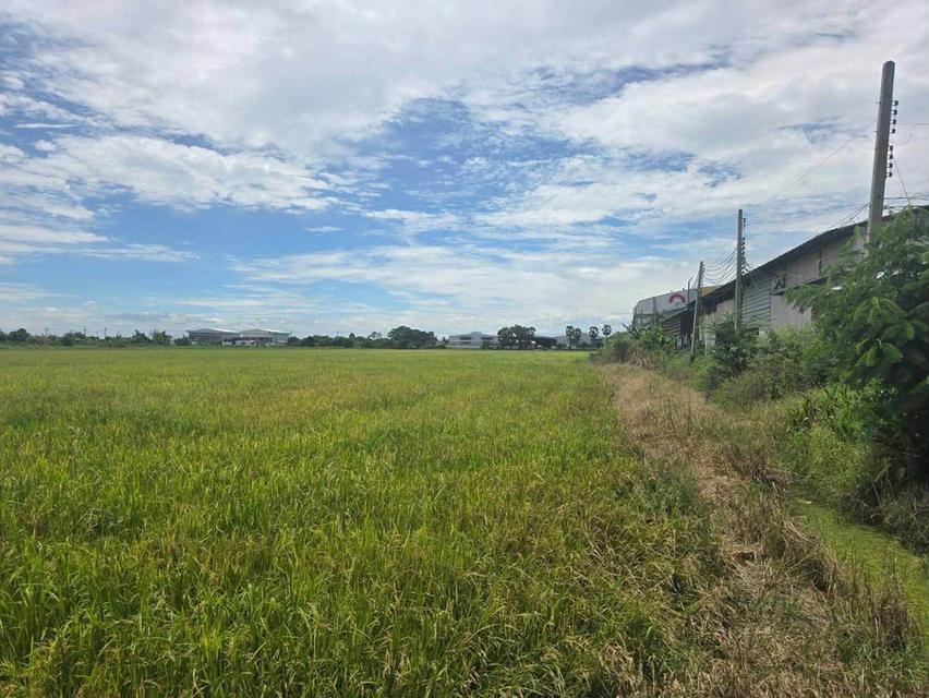 ขายด่วนที่ดิน 15 ไร่เศษ ติดถนนสาธารณะ 2 ด้าน ถ.บางบัวทอง-สุพรรณบุรี ไทรน้อย นนทบุรี 2