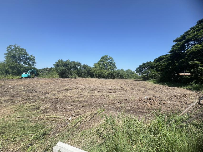 ที่ดินเปล่า ติดถนน ตำบลพืชอุดม อำเภอลำลูกกา จังหวัดปทุมธานี 3