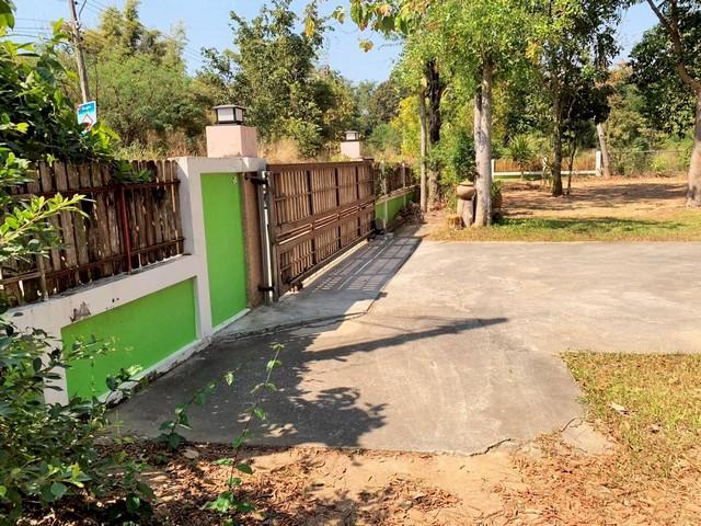 บ้านพร้อมที่ดินขนาดใหญ่ 1 ไร่ 3 งาน 97.9 ตารางวา (รวม 797.9 ตารางวา) ในตำบลจอหอ เมืองนครราชสีมา 2