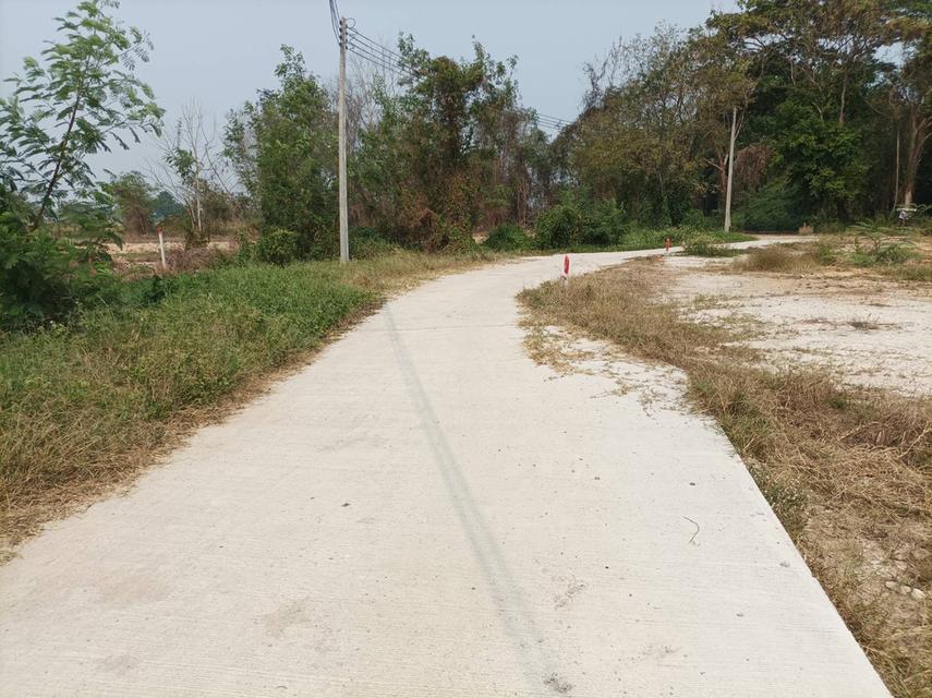 ขายที่ดิน ราคา7,900บาท/ตร.ว. ต.สำราญราษฏร์ อ.ดอยสะเก็ด จ.เชียงใหม่ 2