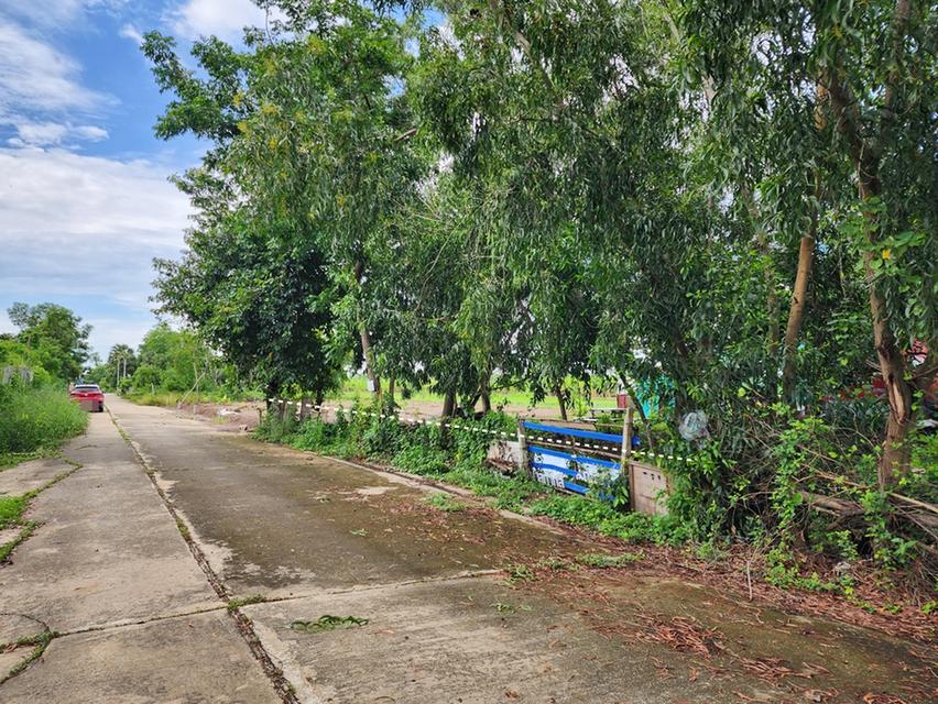 ขาย ที่ดิน 1 งาน ซ.คลองห้าตะวันตก 73 อ.คลองหลวง จ.ปทุมธานี 9