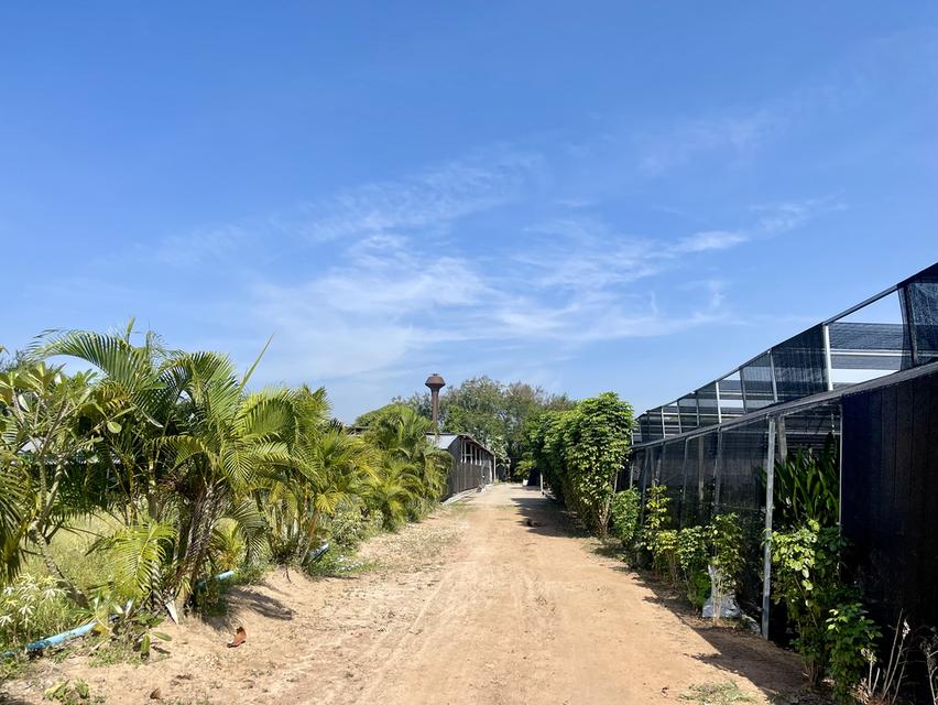 ขายที่ดินสวย ลดราคาพิเศษ พร้อมสิ่งปลูกสร้าง โรงเรือน 9 ไร่ ต.บ้านใหม่ อ.ท่าม่วง จ.กาญจนบุรี 2