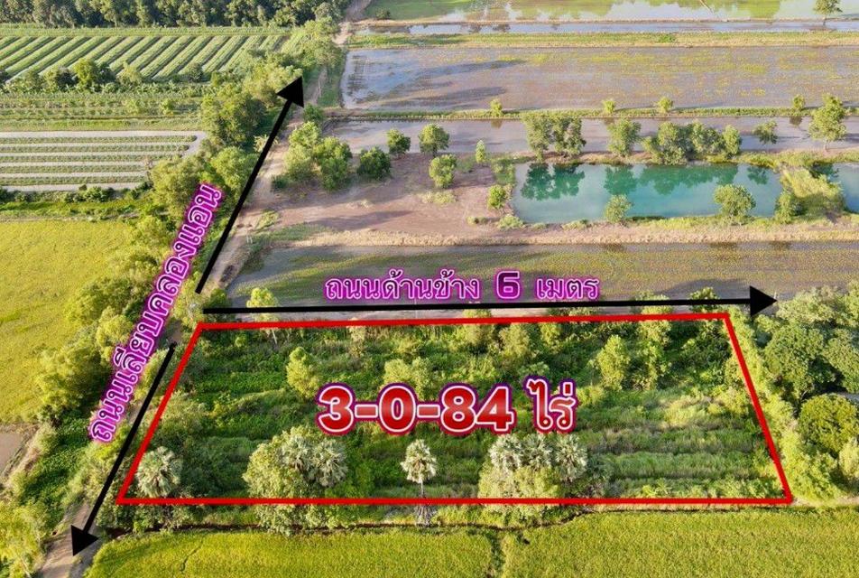 ข️ายที่ดินบึงกาสาม 3 ไร่ คลอง11 ใกล้ถนนเส้น5021-9.5กม. อ.หนองเสือ ปทุมธานี 2