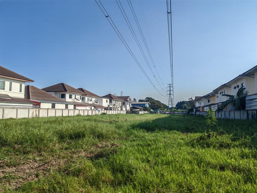 ที่ดินเปล่าเชียงใหม่ 2ไร่ 2งาน 5 ตรว. ขายต่ำกว่าราคาประเมิน 4