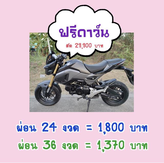    สด-ผ่อน  Honda MSX 125SF  1