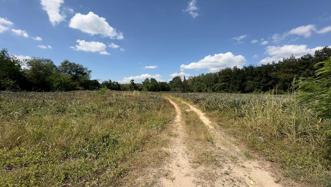 ที่ดิน ปากเเพรก จังหวัดระยอง เนื้อที่ 8 ไร่ 24 ตารางวา 1