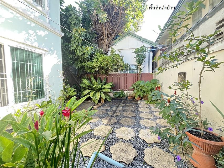 ขายบ้านแฝด พร้อมเฟอร์ หมู่บ้านพฤกษา17 ลำลูกกา คลอง3 18