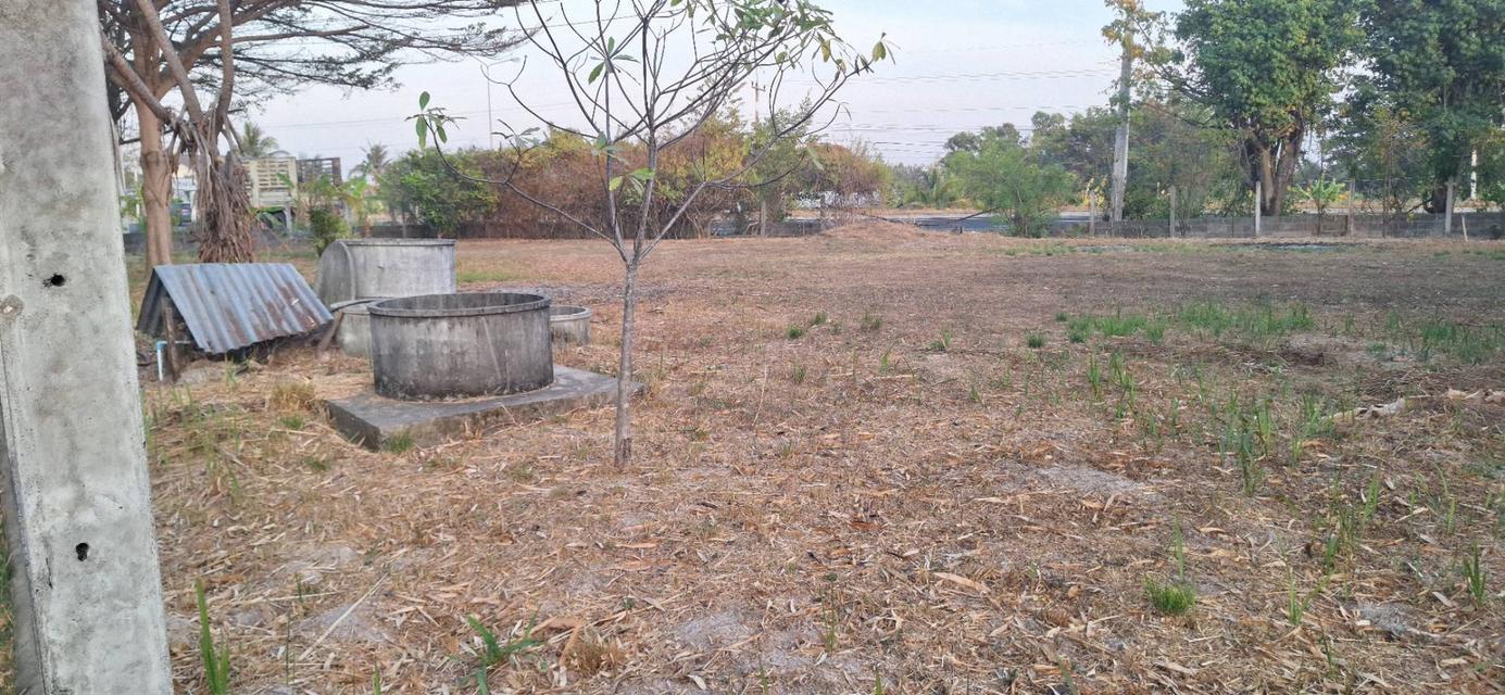 ขายที่ดิน 230 ตร.ว. ติดถนน 4 เลน ตำบลโนนกลาง อ.สำโรง อุบลฯ ใกล้โรงเรียนมัธยม 8