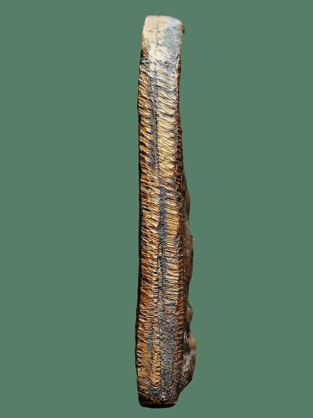 เหรียญหล่อ หลวงพ่อทา วัดพะเนียงแตก รุ่นแรก หลังยันค์ มะ อะ อุ....เก่า เดิมๆ 4