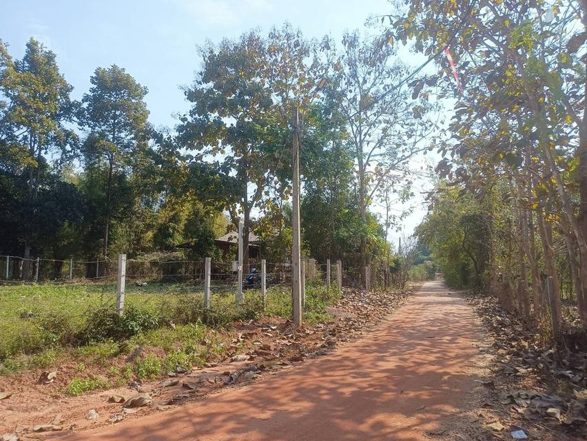 ขายที่ดินเปล่า  1  งาน  ต.ท่าวังทอง เมืองพะเยา 2