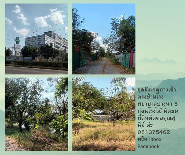 ึขายที่ดิน 2-3-94.4 ไร่ (1,194.4 ตร.ว) ถนนเทพารักษ์ กม.11 สมุทรปราการ ใกล้ รพ. บางนา 5 ด้านหลังติดคลองสำโรง ตารางวาละ 60,000 บาท 4