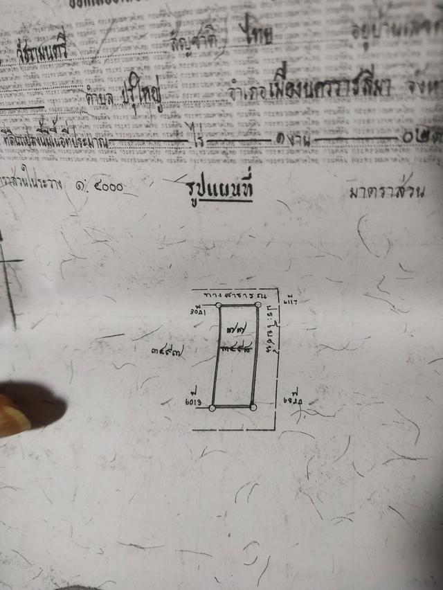 ที่ดินต.ปรุใหญ่ อำเภอเมือง นครราชสีมา 1