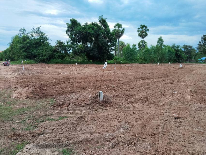 ที่ดินแบ่งขาย ใกล้ตัวเมืองกาฬสินธุ์ เหมาะสร้างบ้านอยู่อาศัย 12