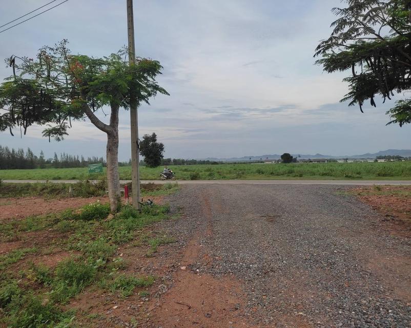 จายบ้านพร้อมที่ดิน บ้าน 2 หลัง ในที่ดิน 1 ไร่ 19