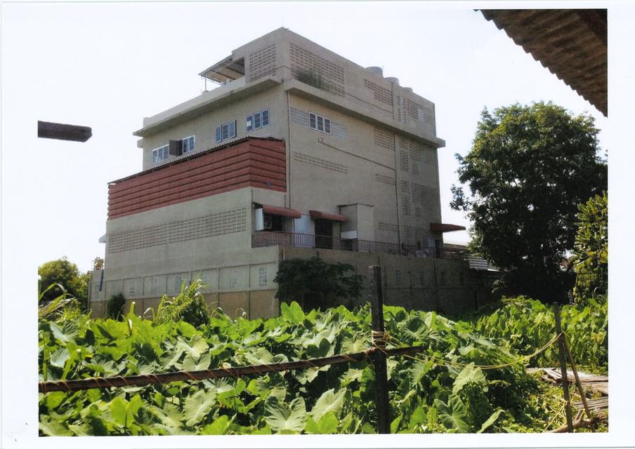 ขายด่วนที่ดินพร้อมโรงงาน พระโขนง สวย พื้นที่ส้ม 4