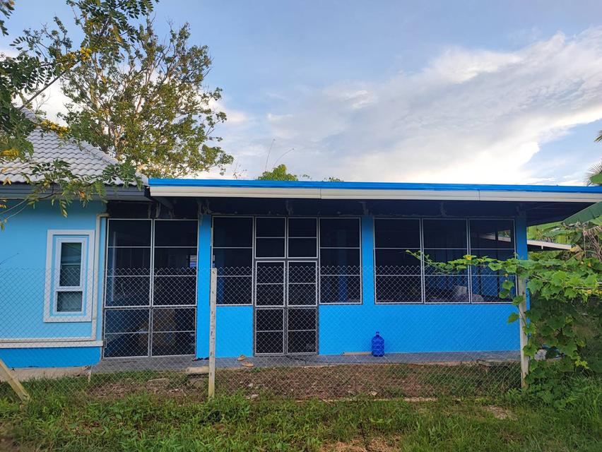 ขายบ้านสวนบรรยากาศดี บนพื้นที่ขนาดใหญ่ จ.อุดรธานี! (H1SS-479) 4