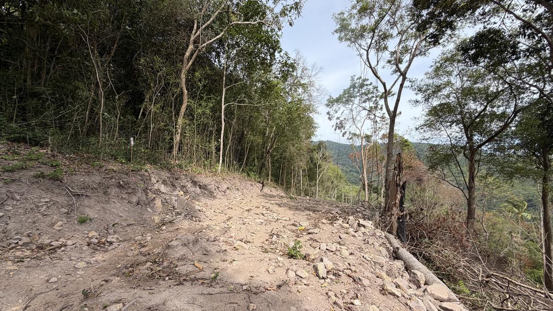 Prime Sunset & Sea View Land for Sale in Koh Samui – A Rare Investment Opportunity! 9