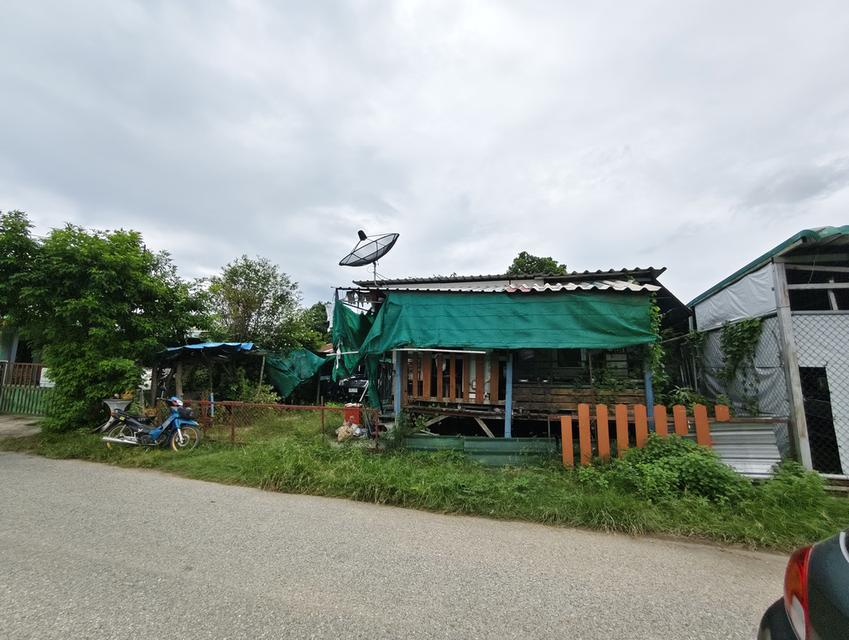 ขายที่ดินศรีราชา 50 ตรว. ซอยเก้ากิโล ย่านชุมชน 6