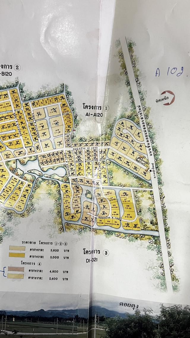 ขายที่ดินทางขึ้นดอยแม่สลอง จ. เชียงราย 2