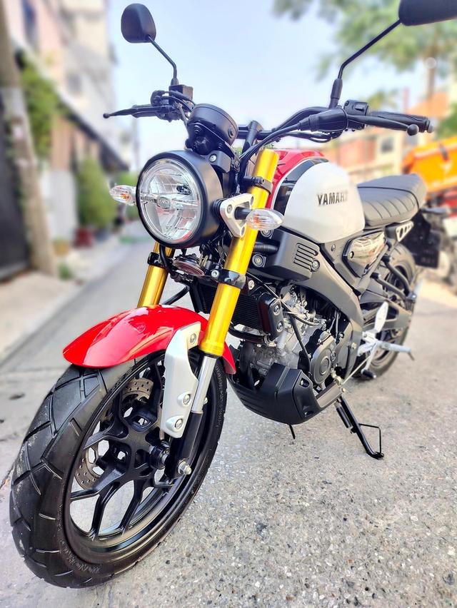 Yamaha xsr155 6