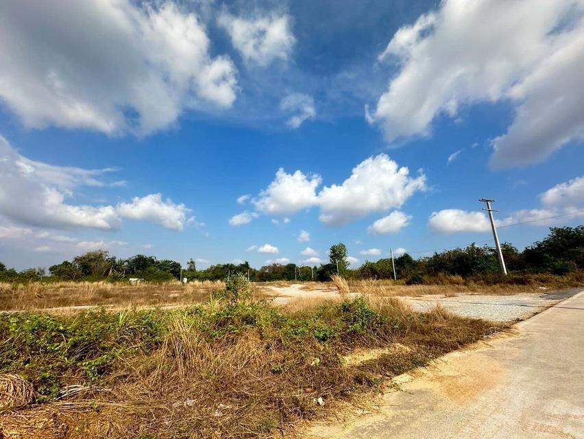 ขายที่ดิน 30 ไร่ ผังสีเหลือง ต.ห้วยใหญ่ อ.บางละมุง จ.ชลบุรี 4