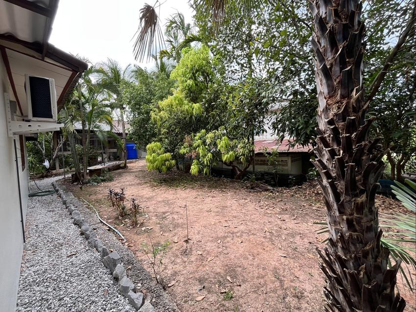 BUNGALOW FOR RENT LONG TERM - บ้านพร้อมเฟอร์นิเจอร์ให้เช่า 7