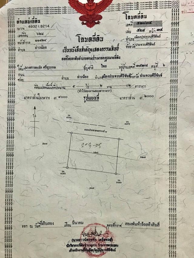 ที่ดิน5ไร่ติดถนนน่าลงทุน เมืองประจวบ 7