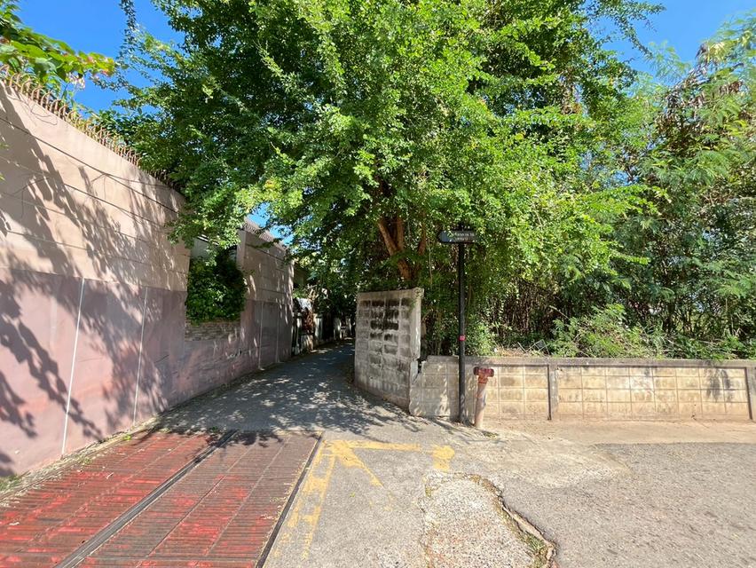 ที่ดินขอนแก่น ใกล้มหาวิทยาลัยขอนแก่น ใกล้เซ็นทรัลใหม่ ทำเลดี 2