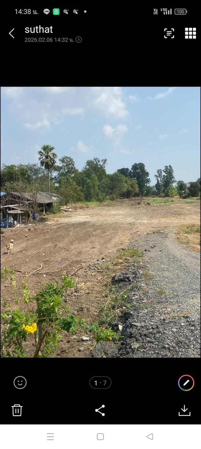 ขายที่ดินเปล่าต.โพงอากาศอ.บางน้ำเปรี้ยวจ.ฉะเชิงเทรสยว 5