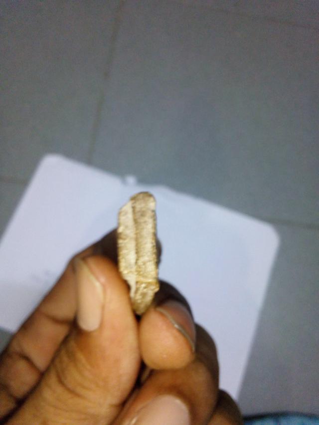 พระเครื่องหลวงพ่อพริ้ง วัดแจ้ง เกาะสมุย รูปที่ 3