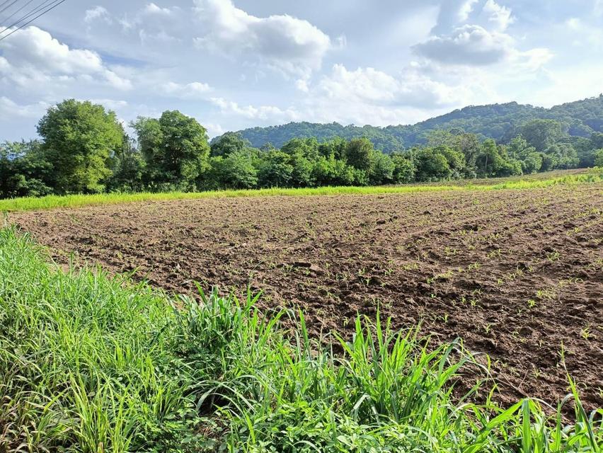 ที่ดินปากช่อง ต.พญาเย็น จ.นครราชสีมา 12