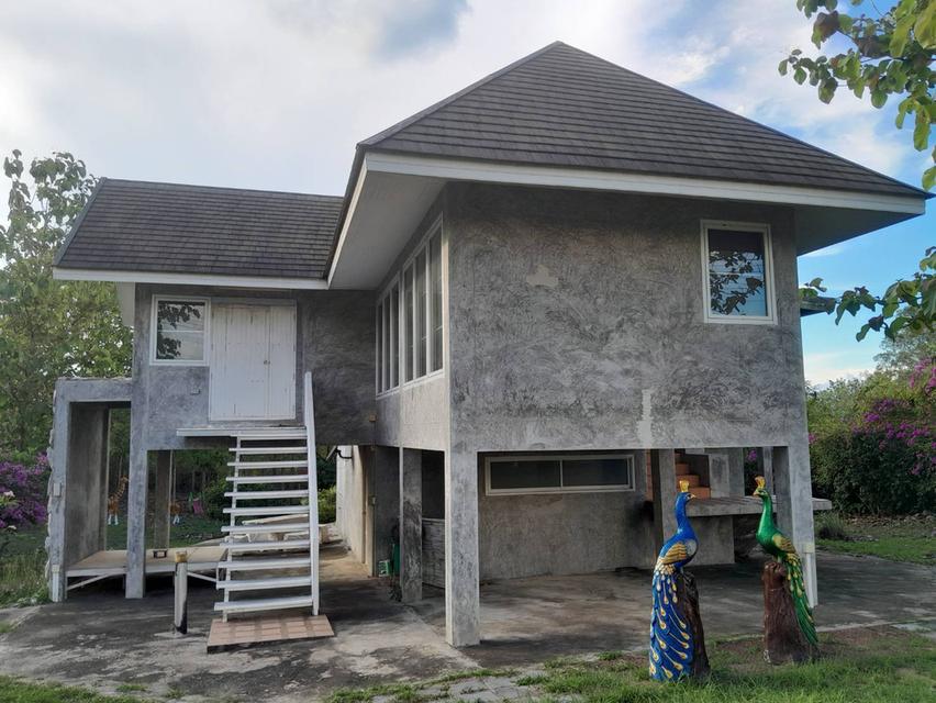 ที่ดินพร้อมบ้าน 2 ไร่ 2.7 ล้าน ต.วังหมี บ้านโคกสันติสุข