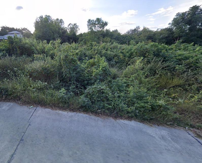 ที่ดินผังสีเขียว 6-1-31.7 ไร่ ใกล้ถนนมิตรภาพ – นครราชสีมา 2