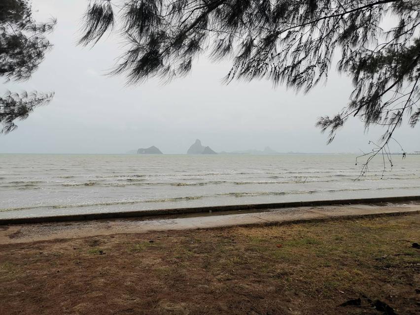 ที่ดินเปล่าติดชายทะเลอ่าวน้อย ประจวบ 4